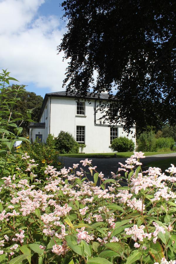 โลห์ บาว เฮาส์ Bed & Breakfast Collinstown  ภายนอก รูปภาพ